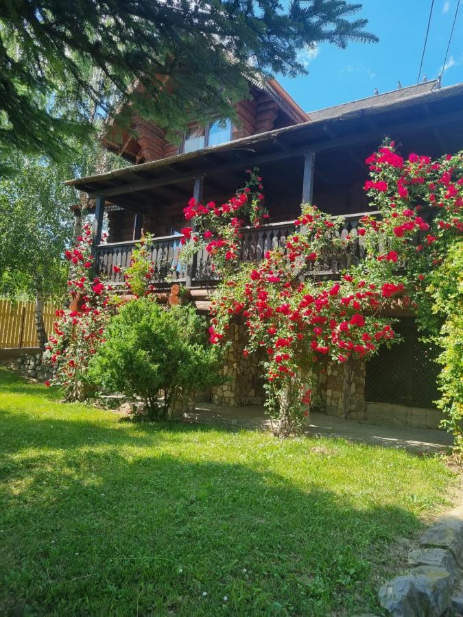 Cabana Haiducului Villa Soveja Exterior photo